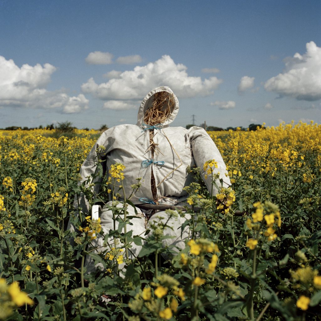Peter Mitchell, Scarecrow 28, 1974-2015