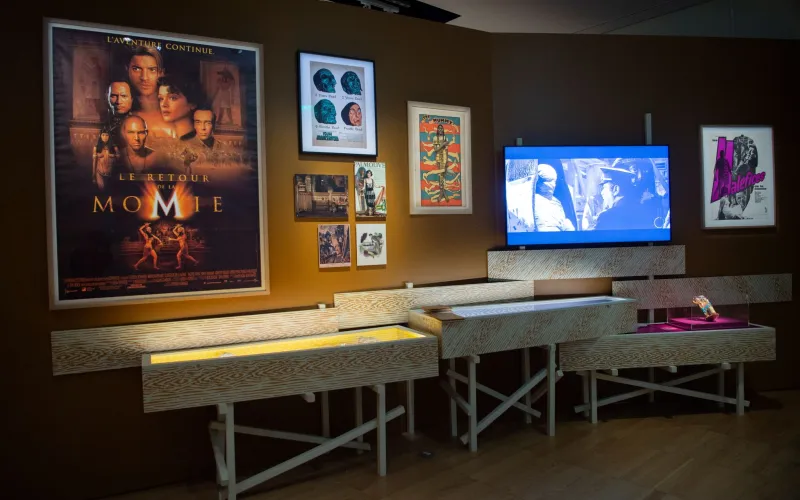 Une exposition intrigante, entre science, histoire et émotions.
