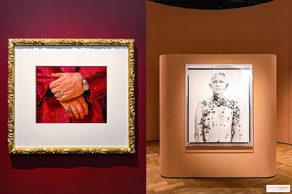 Fragiles beautés  la collection de photos d'Elton John exposée au Jeu de Paume